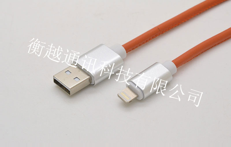 蘋(píng)果插頭對USB 2.0 AM
